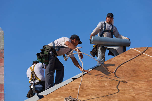 Best Roof Maintenance Services  in Navy, VA